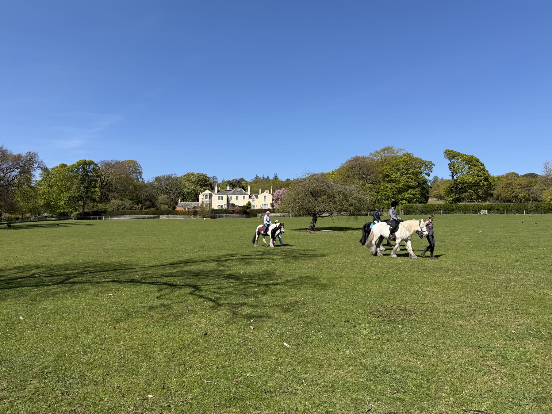 Riders in the field at Hunterfield with Kilduff House visible in the distance